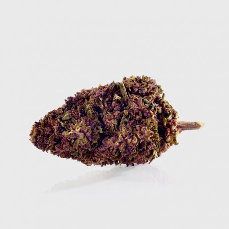 1g Purple Kinky Kush – 28% THC