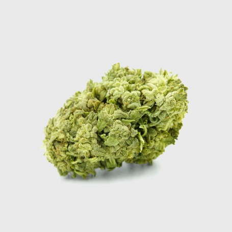 1g Frosted Cookies – 26% THC