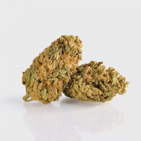 1g King Louie 27% THC