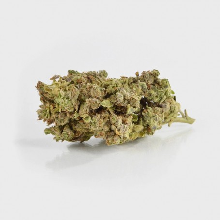 1g Candy Cloud 26% THC