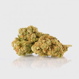 1g Amnesia 31% THC