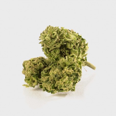 1g Super Lemon Haze 31% THC