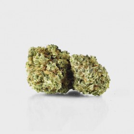 1g White Widow - 28% THC1g White Widow - 28% THC
